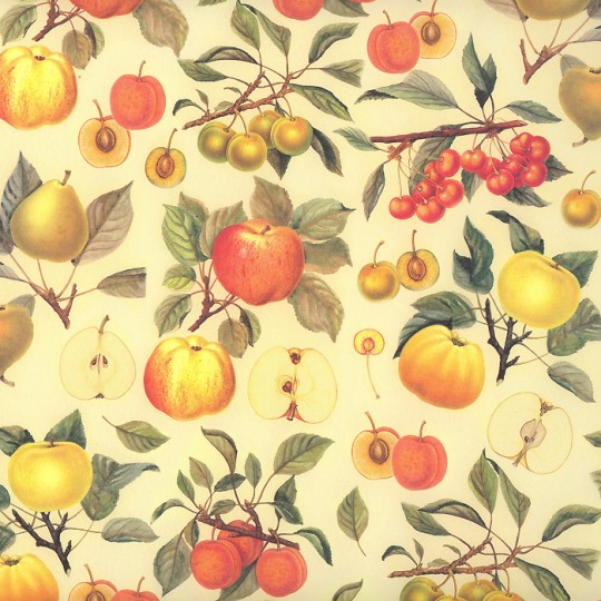 Apples and Summer Fruits Italian Paper ~ Leonardo Communication